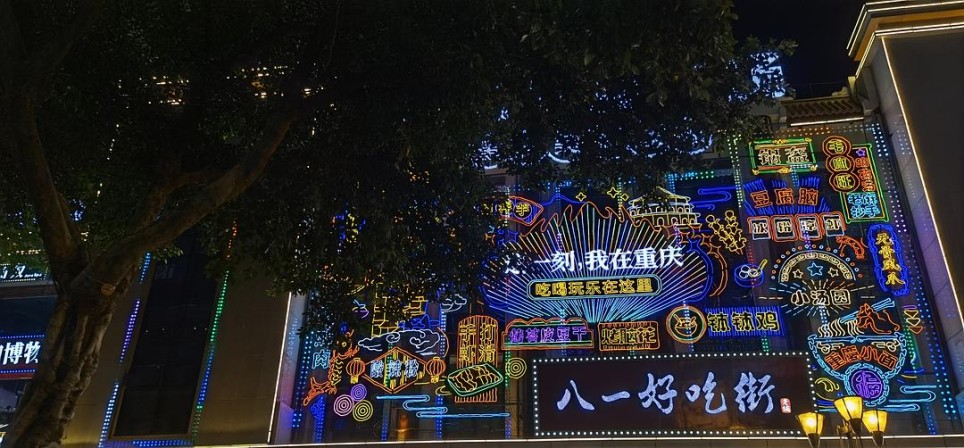 一个自愿选择拾荒的人